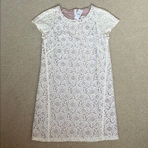 NWT LOFT Elegant Timeless White Lace Eyelet Dress Size 6